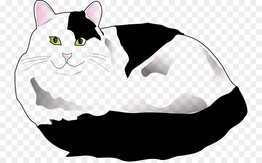 Persian cat Kitten Clip art - kitten png download - 800*555 - Free Transparent Persian Cat png Download.