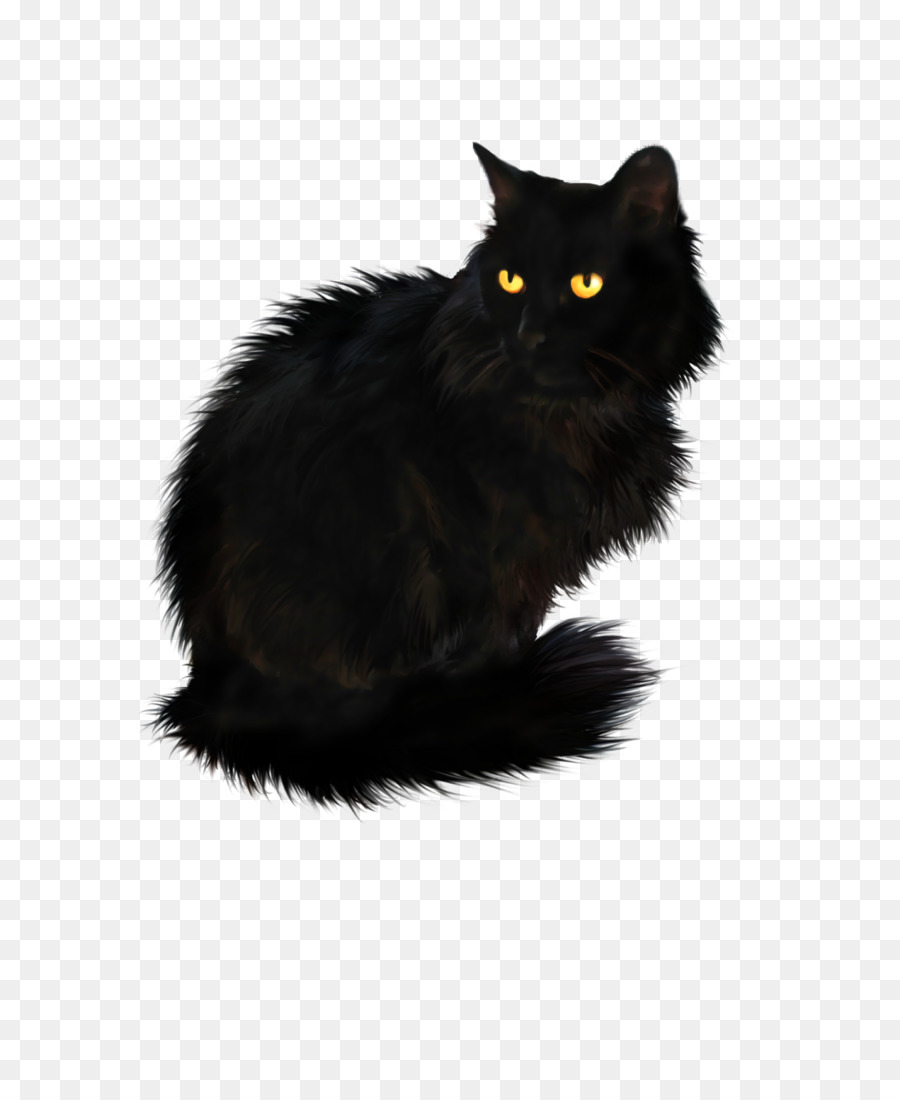Persian cat British Longhair Black cat British Shorthair - cats png download - 1325*1600 - Free Transparent Persian Cat png Download.