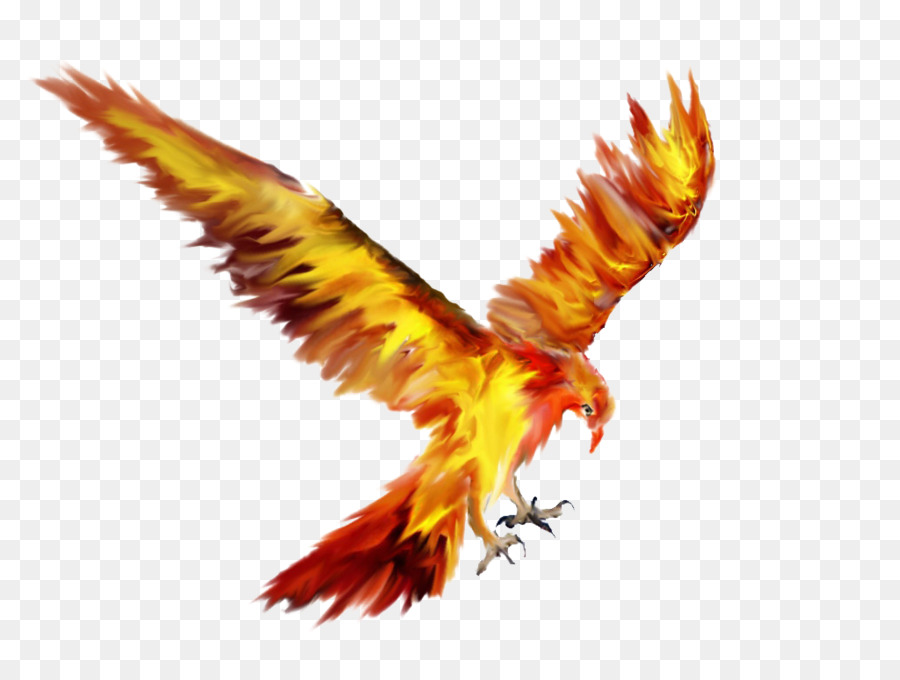Phoenix Bird Tattoo Sketch Drawing - Phoenix png download - 1024*768 - Free Transparent Phoenix png Download.