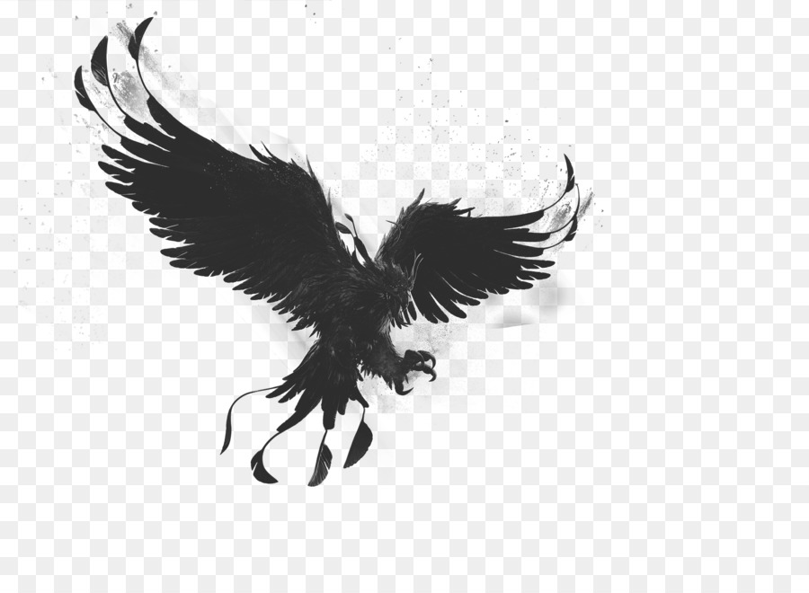 Bald Eagle Phoenix Bird Drawing - Phoenix png download - 1791*1284 - Free Transparent Bald Eagle png Download.