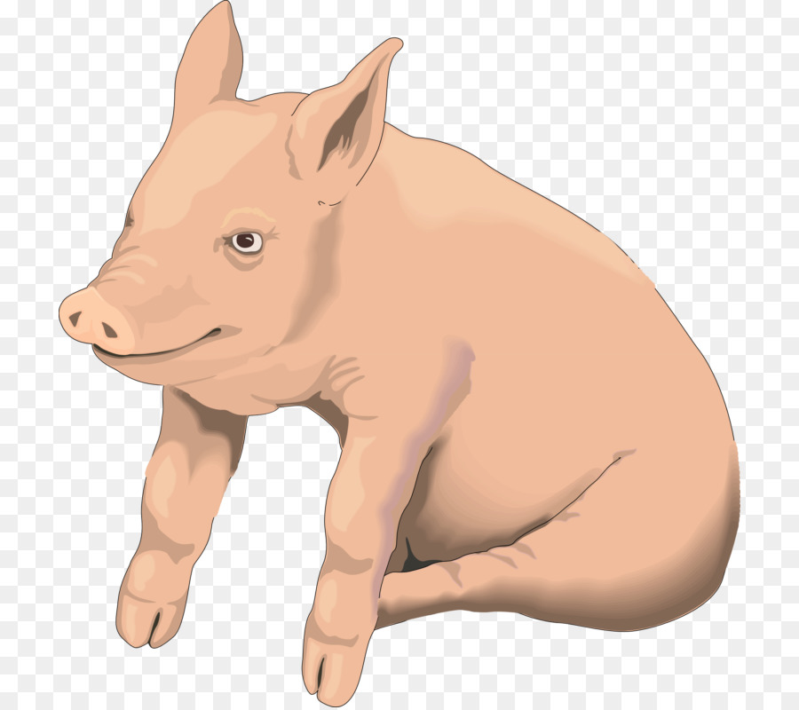 Pig Clip art Portable Network Graphics Openclipart Transparency - clipart pig png download png download - 768*797 - Free Transparent Pig png Download.