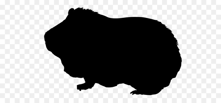 Guinea pig Silhouette Rodent Clip art - guinea pig png download - 640*417 - Free Transparent Pig png Download.