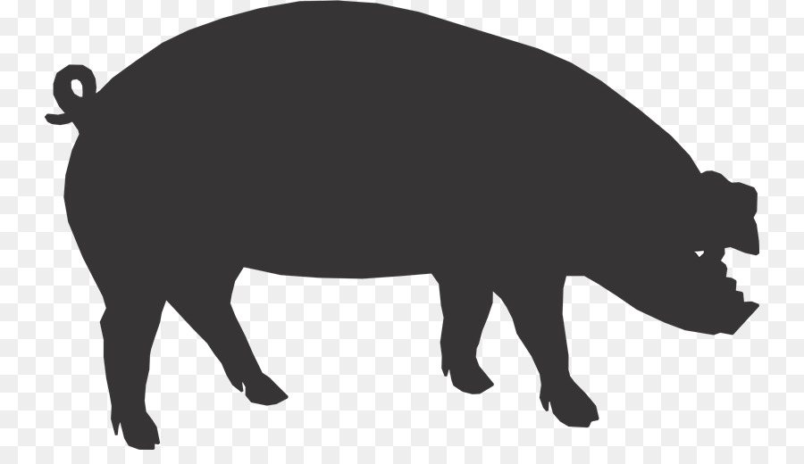 Pig roast Cattle Farmer - Bj png download - 800*504 - Free Transparent Pig png Download.