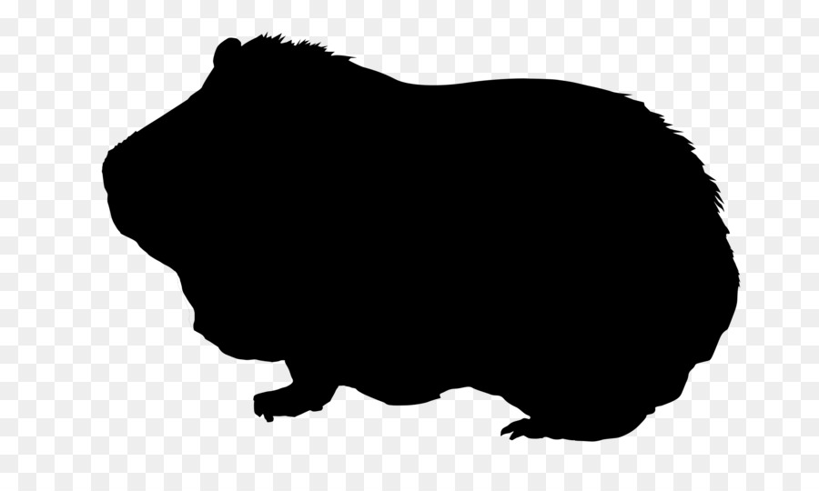 Guinea pig Silhouette Drawing Clip art - pig png download - 800*522 - Free Transparent Guinea Pig png Download.