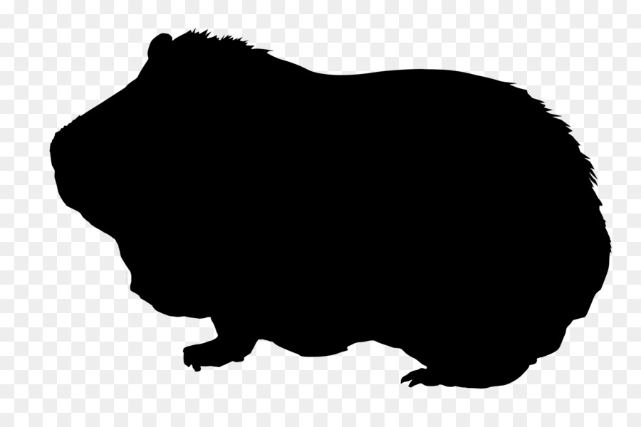 Skinny pig Silhouette Animal Clip art - silhouettes png download - 2300*1500 - Free Transparent Skinny Pig png Download.