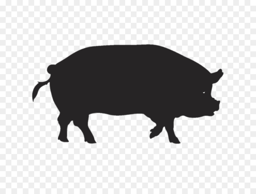 Pig Kunekune Spare ribs Barbecue - pasture png download - 1024*767 - Free Transparent Pig png Download.