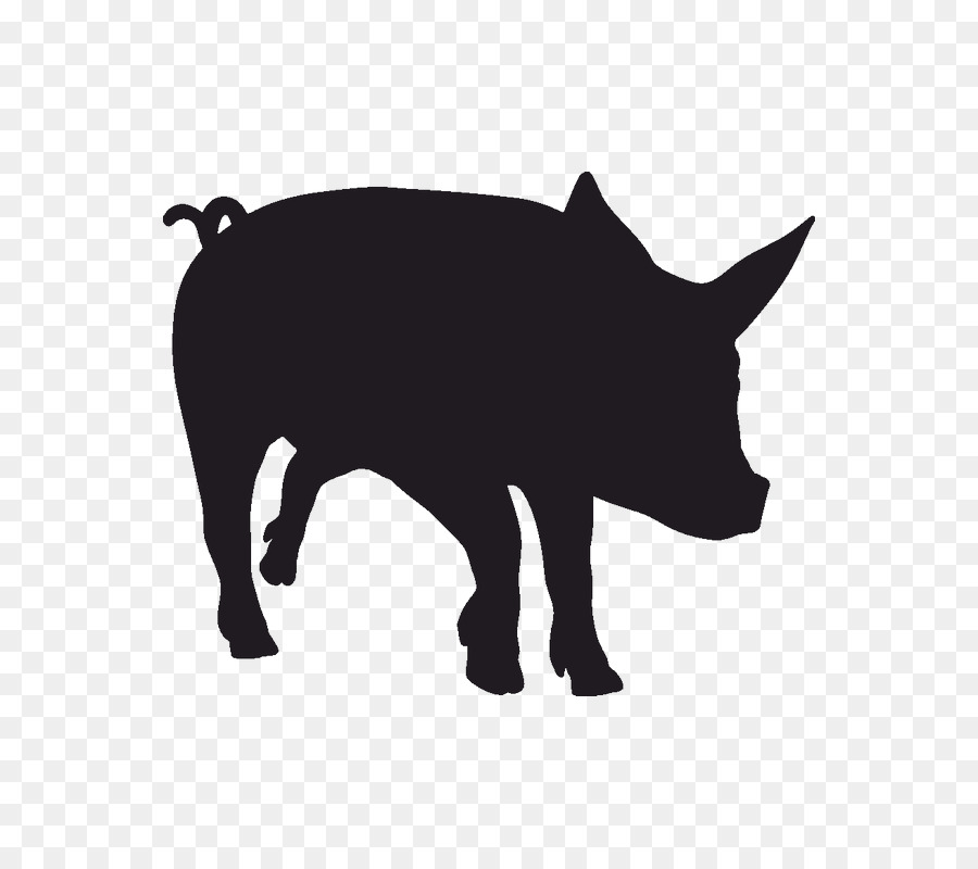 Miniature pig Decal Silhouette Piglet - pig png download - 800*800 - Free Transparent Pig png Download.