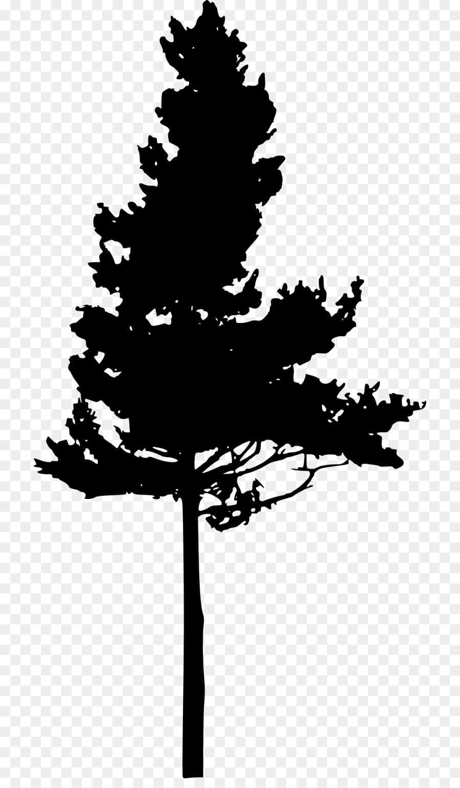 Pine Eastern hemlock Tree Clip art - heart tree png download - 768*1521 - Free Transparent Pine png Download.