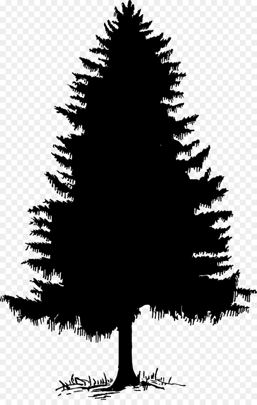Clip art Tree Silhouette Cedar Pine -  png download - 1668*2601 - Free Transparent Tree png Download.