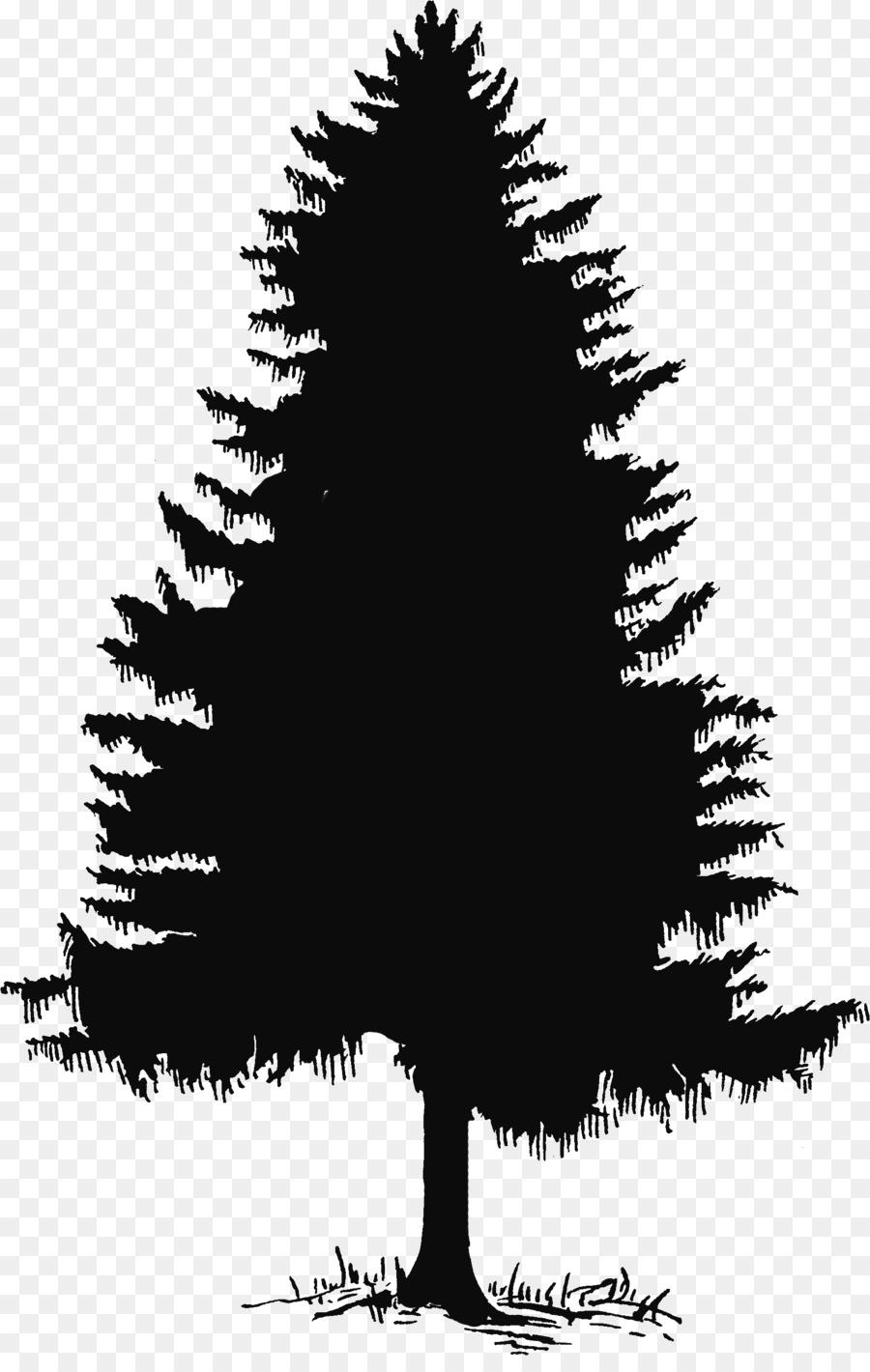 Evergreen Tree Pine Silhouette Clip art - Cedar Tree Cliparts png download - 1668*2601 - Free Transparent Evergreen png Download.