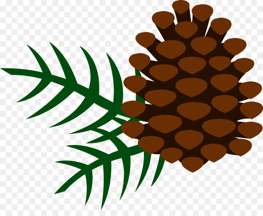 Conifer cone Clip art - pine cone png download - 6543*5237 - Free Transparent Conifer Cone png Download.