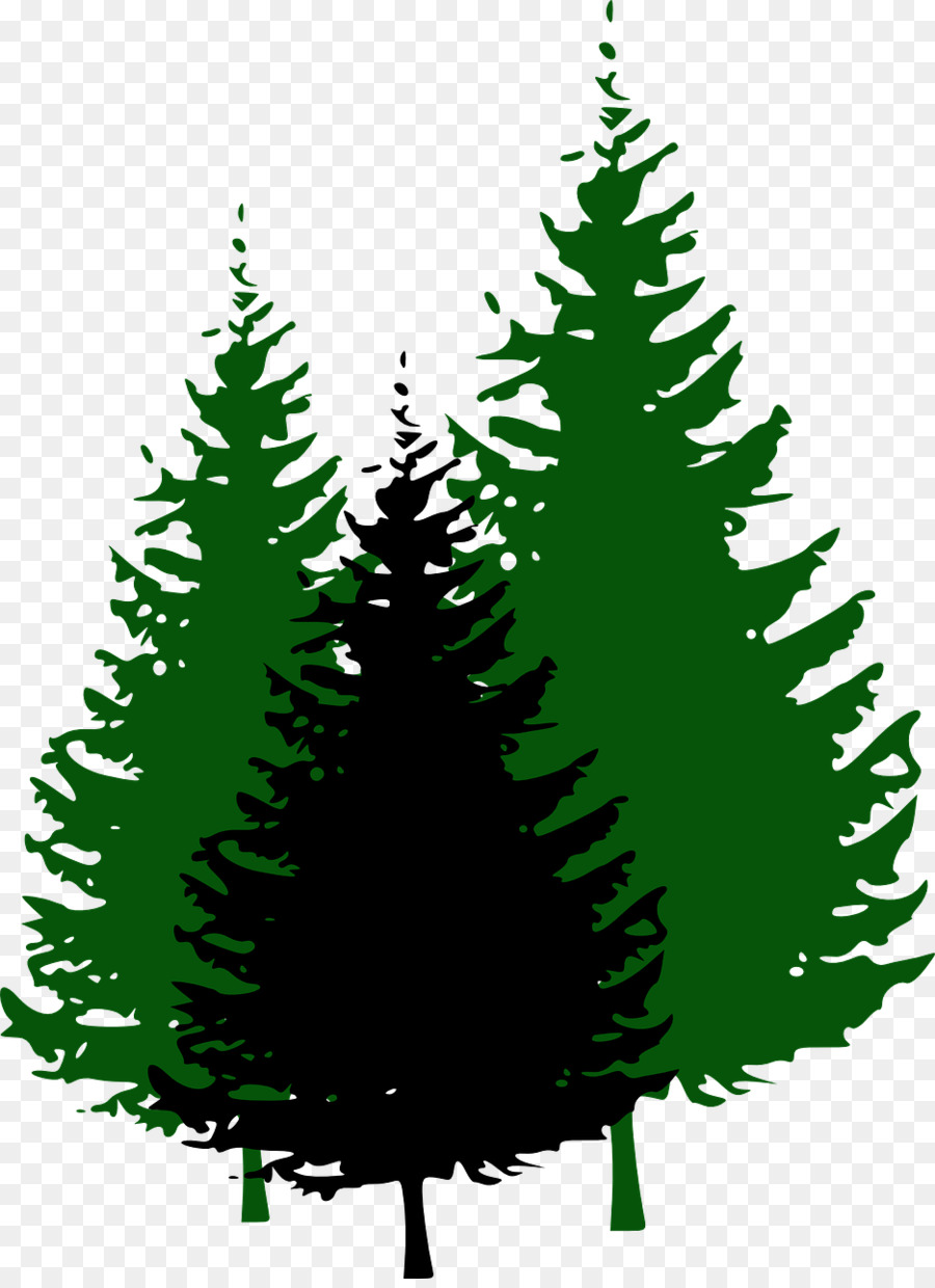 Pine Tree Fir Clip art - pine cone png download - 936*1280 - Free Transparent Pine png Download.