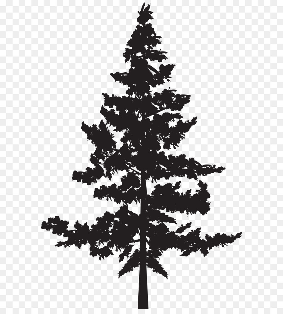Black pine Tree Pinus contorta - Tree PNG Silhouette Clip Art Image png download - 5287*8000 - Free Transparent Pine png Download.