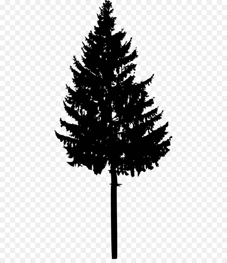 Spruce Fir Christmas tree Silhouette - christmas silhouette png tree png download - 468*1024 - Free Transparent Spruce png Download.