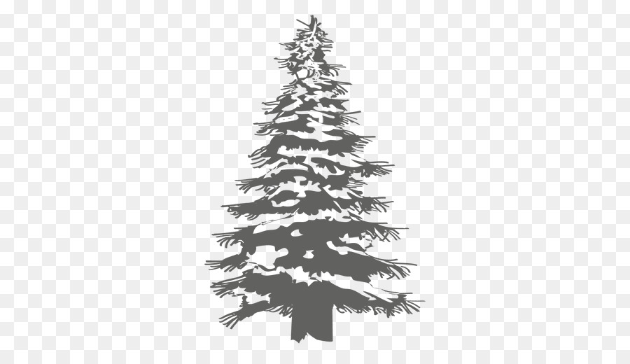 Christmas tree Pine Fir - pine tree png download - 512*512 - Free Transparent Tree png Download.