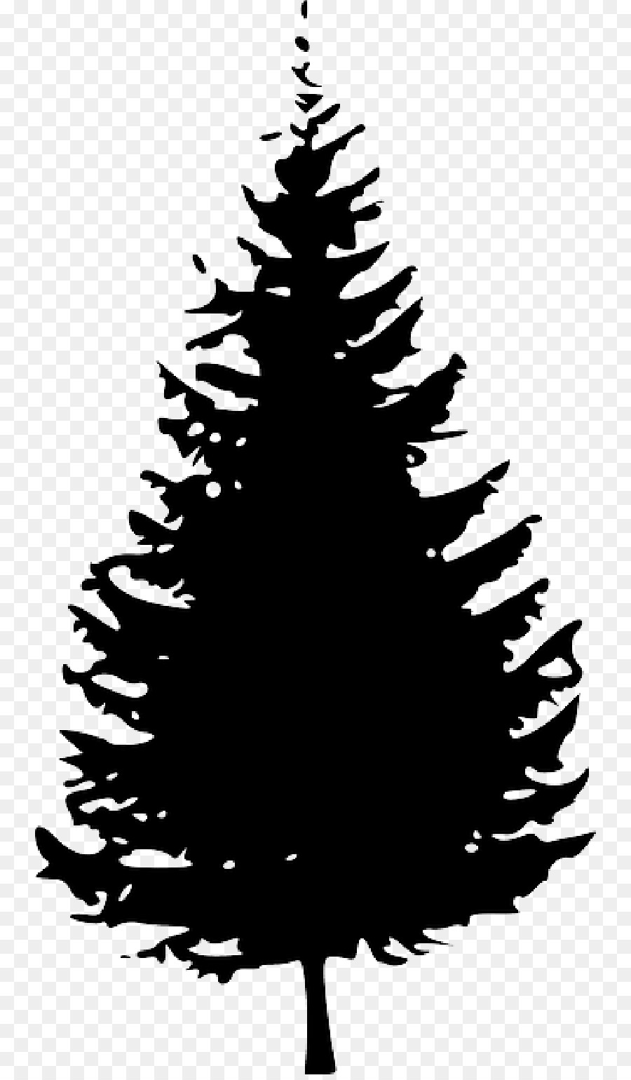 Clip art Pine Tree Fir Vector graphics - tree png download - 800*1532 - Free Transparent Pine png Download.