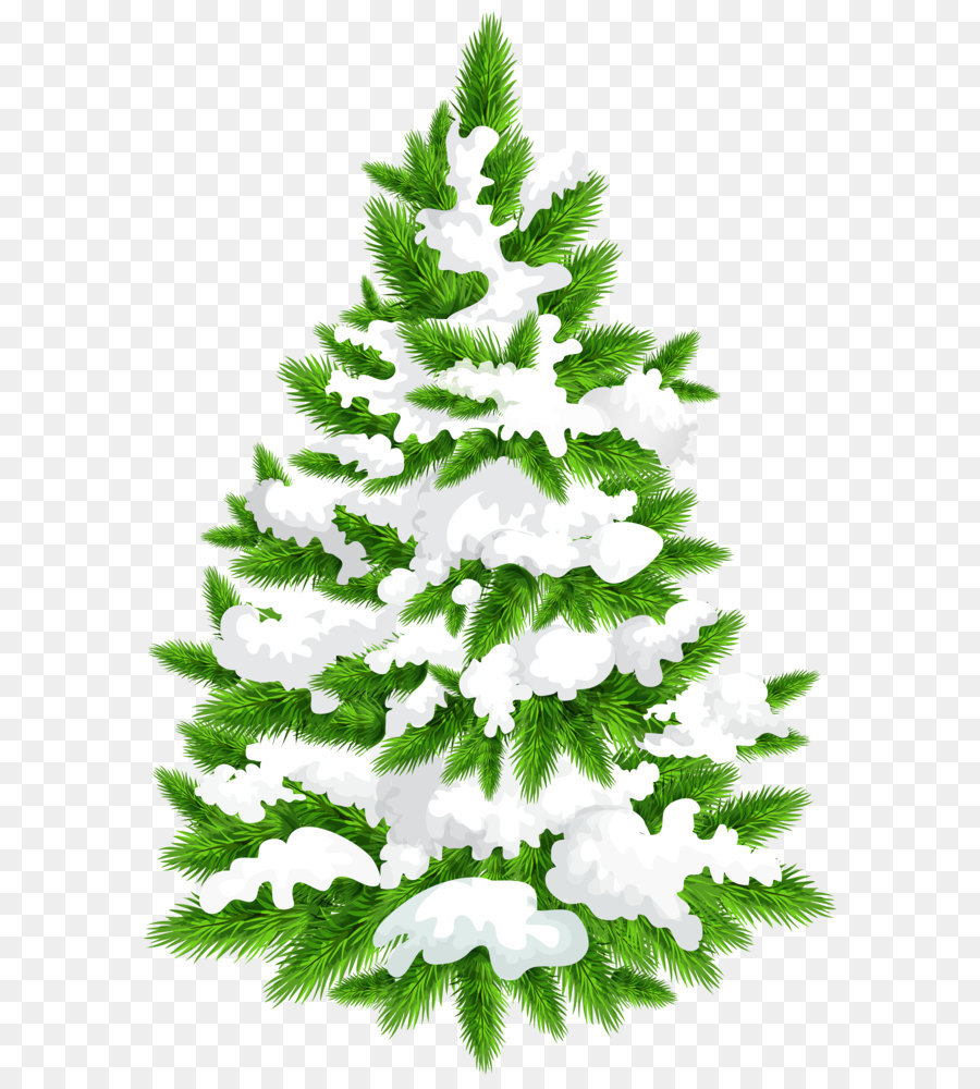 Pine Christmas tree Clip art - Snowy Pine Tree PNG Clip Art Image png download - 3261*5000 - Free Transparent Tree png Download.