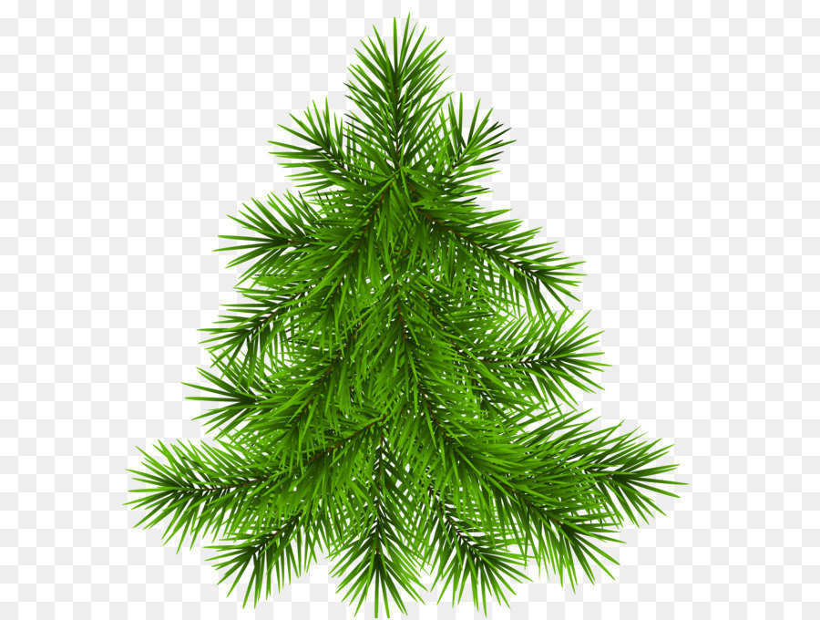 Pine Tree Transparent Picture png download - 4792*4999 - Free Transparent Pine png Download.