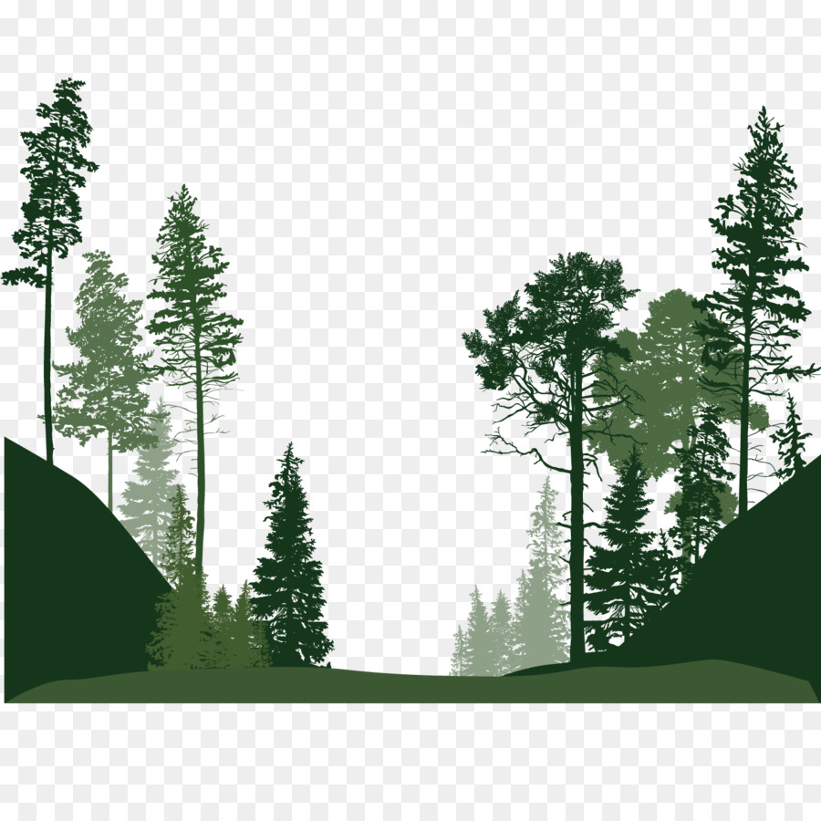 Forest Euclidean vector Tree - Forest trees png download - 1500*1500 - Free Transparent Forest png Download.
