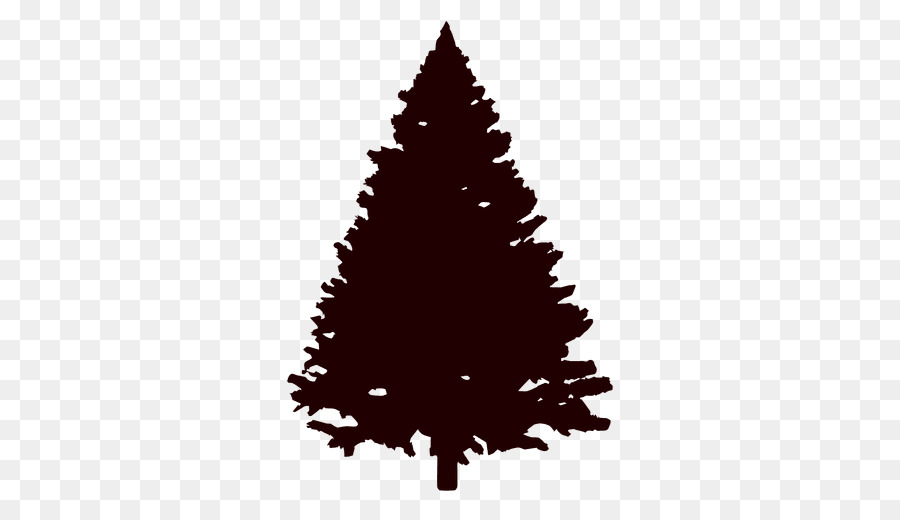 Fir Pine Tree Conifers Evergreen - pine vector png download - 512*512 - Free Transparent Fir png Download.