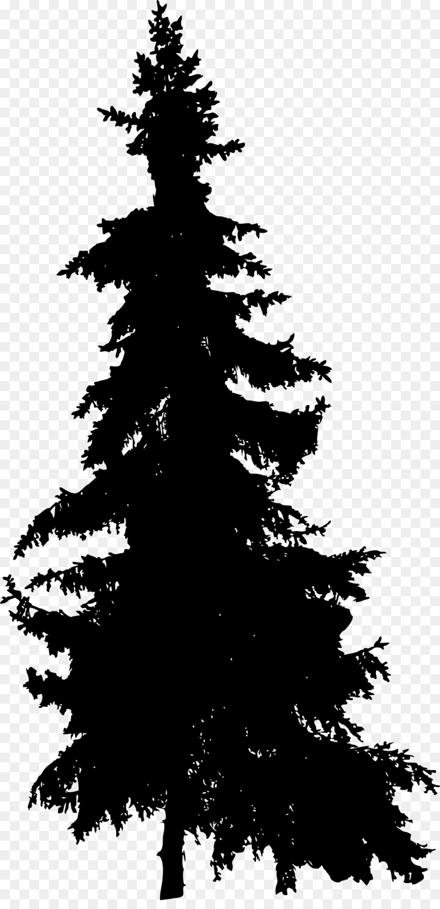 Pine Blue spruce Fir Tree - pine tree png download - 977*2000 - Free Transparent Pine png Download.