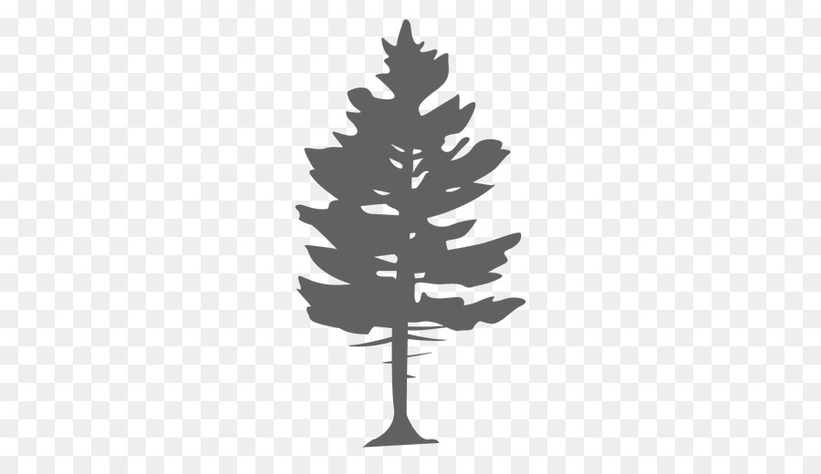 Pine Tree Conifers Spruce - pine vector png download - 512*512 - Free Transparent Pine png Download.