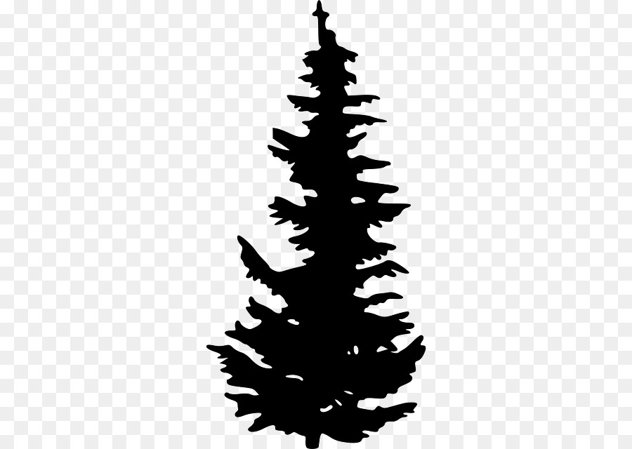 Evergreen Tree Pine Clip art - pine vector png download - 640*640 - Free Transparent Evergreen png Download.