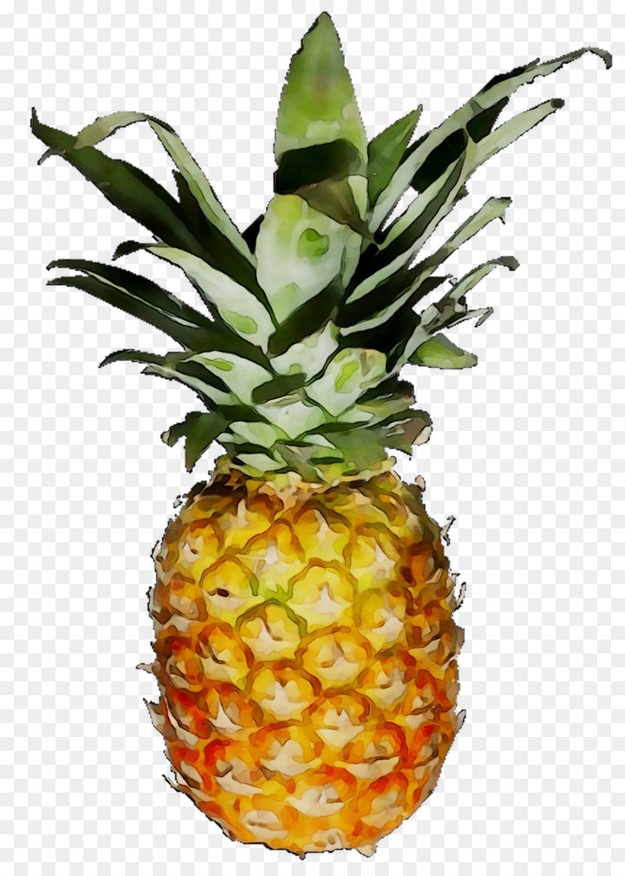 Pineapple -  png download - 1044*1459 - Free Transparent Pineapple png Download.