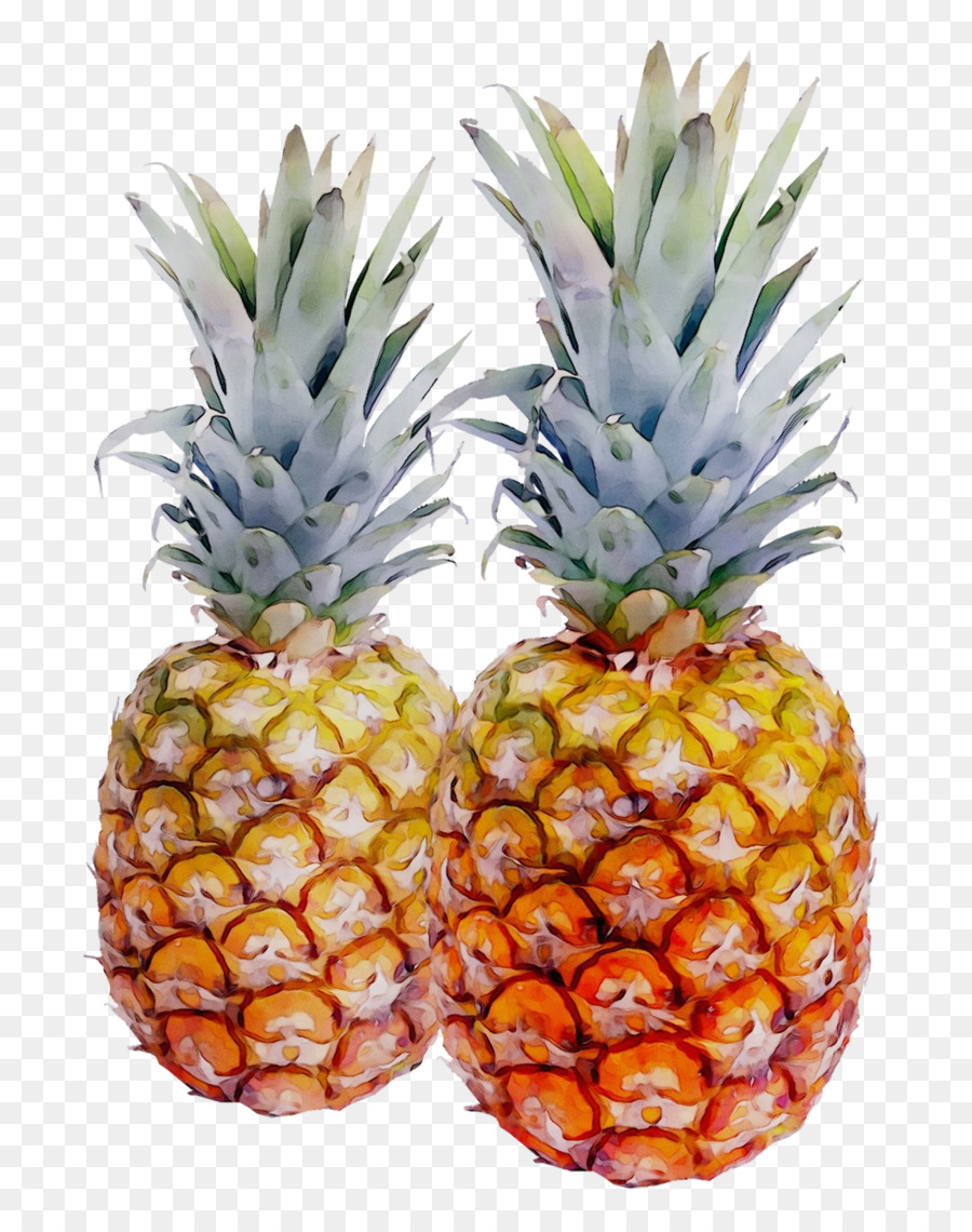 Portable Network Graphics Pineapple Transparency Image Clip art -  png download - 1141*1438 - Free Transparent Pineapple png Download.