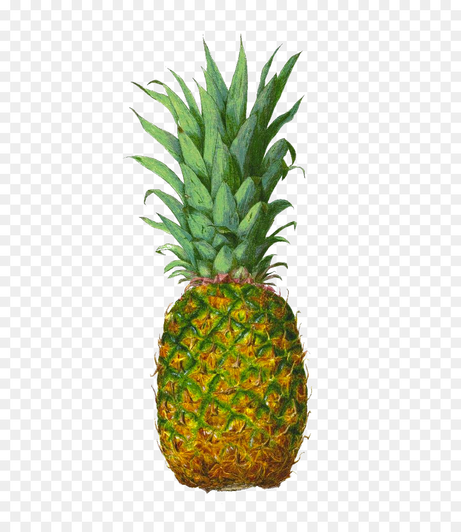 Pineapple Juice Tropical fruit - pineapple png download - 686*1037 - Free Transparent Pineapple png Download.