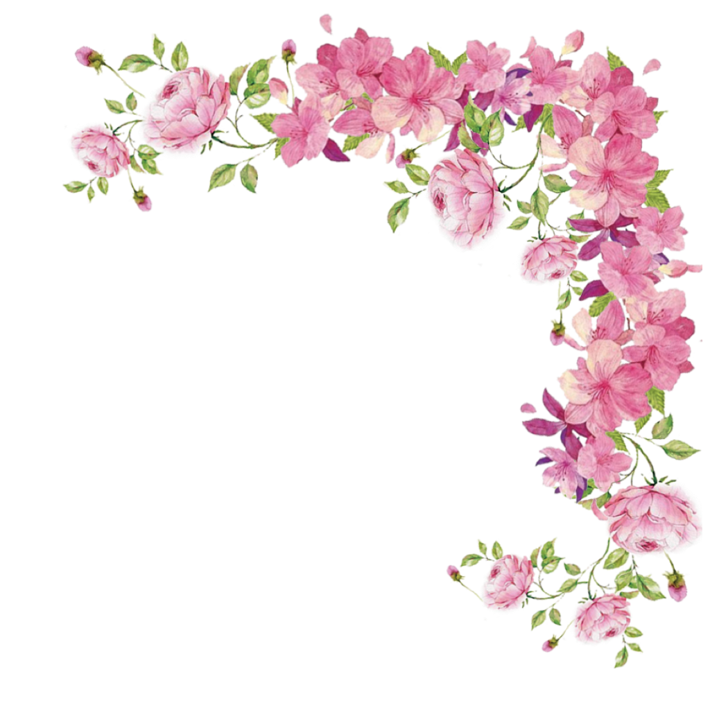 Pink flowers Rose - flower border png download - 1024*1024 - Free