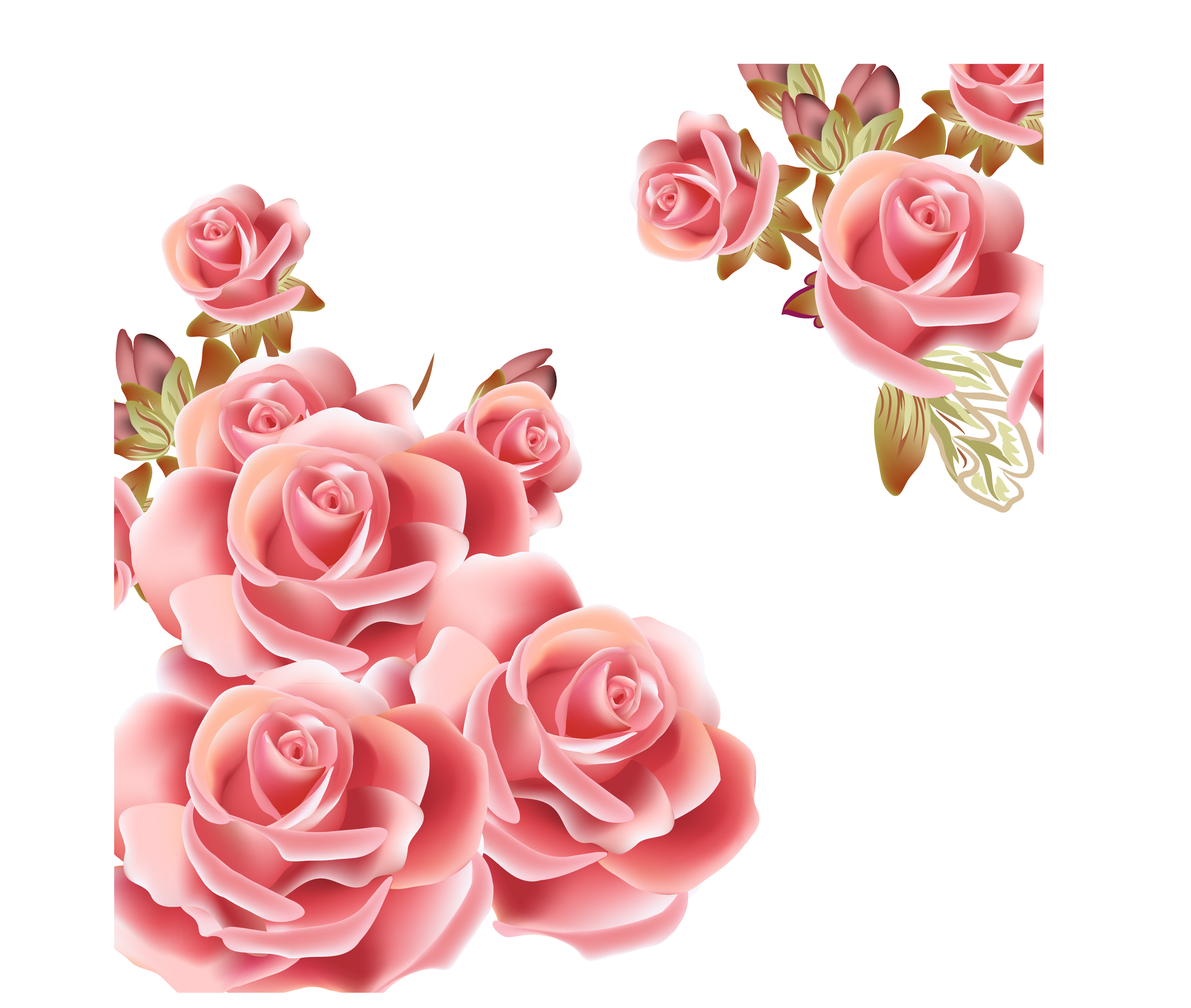 Flower Rose Pink Clip Art Vector Rose Background Png Download 4272 3618 Free Transparent Rose Png Download Clip Art Library