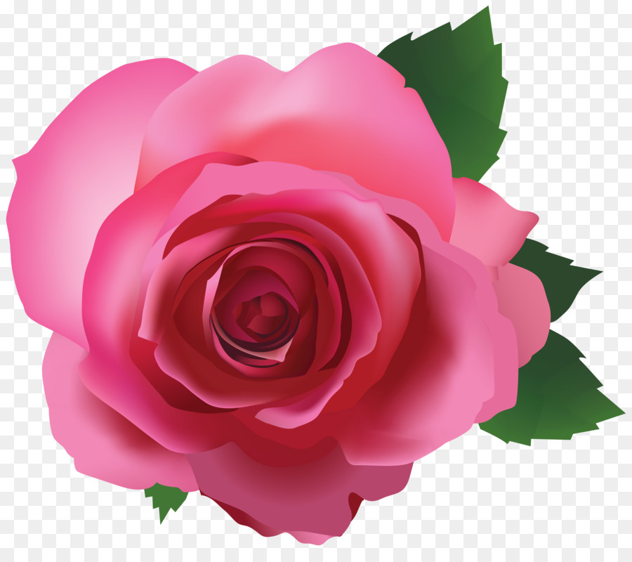 Rose Pink Clip art - pink rose png download - 7000*6095 - Free Transparent Rose png Download.