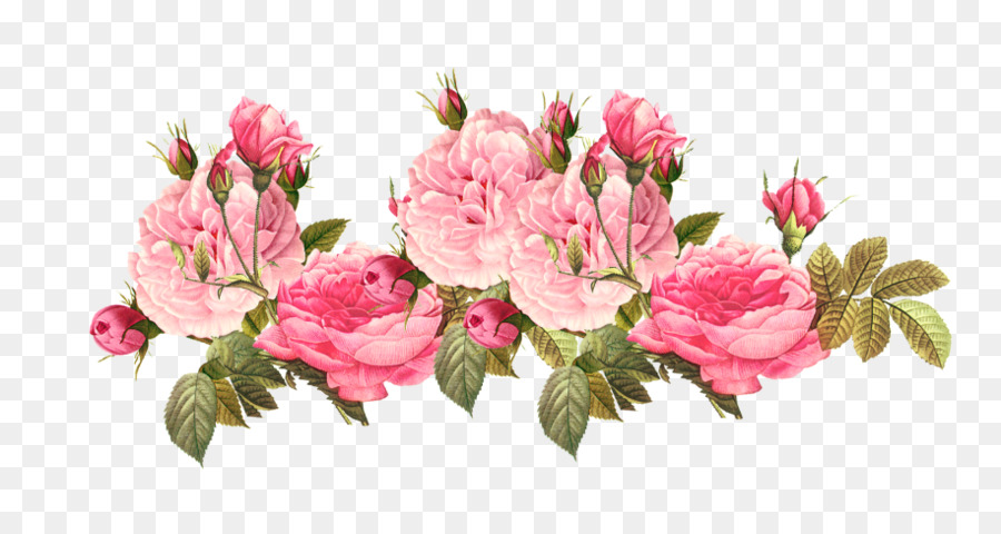 Pink flowers Rose Clip art - flower png download - 915*480 - Free Transparent Flower png Download.
