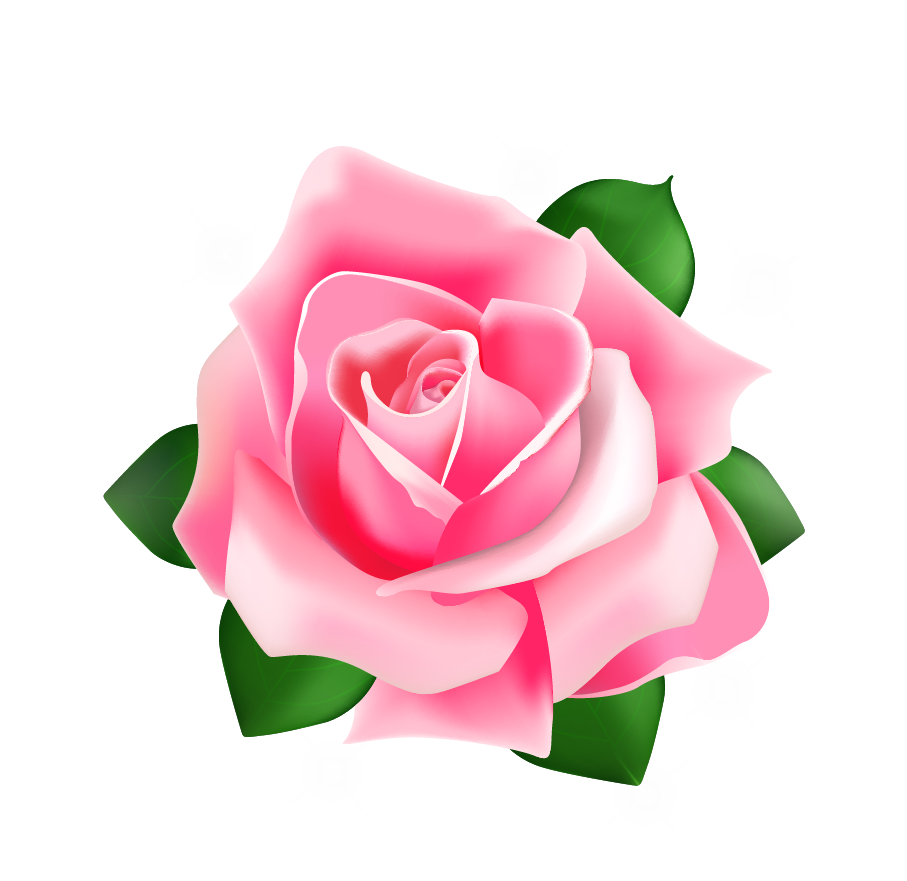 Free Clipart Of A Pink Rose Pink Rose Clipart Stunnin Vrogue Co