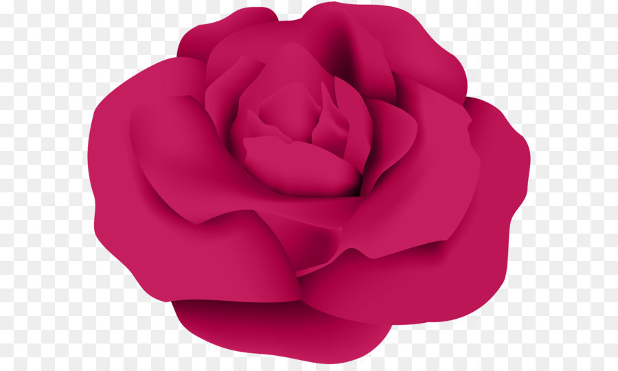Garden roses Centifolia roses Clip art - Dark Pink Rose PNG Transparent Clip Art png download - 8000*6547 - Free Transparent Centifolia Roses png Download.
