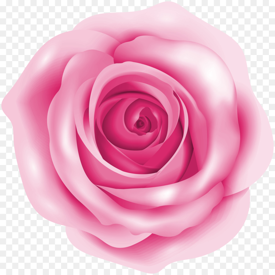 Rose Pink Clip art - pink rose png download - 5000*4998 - Free Transparent Rose png Download.