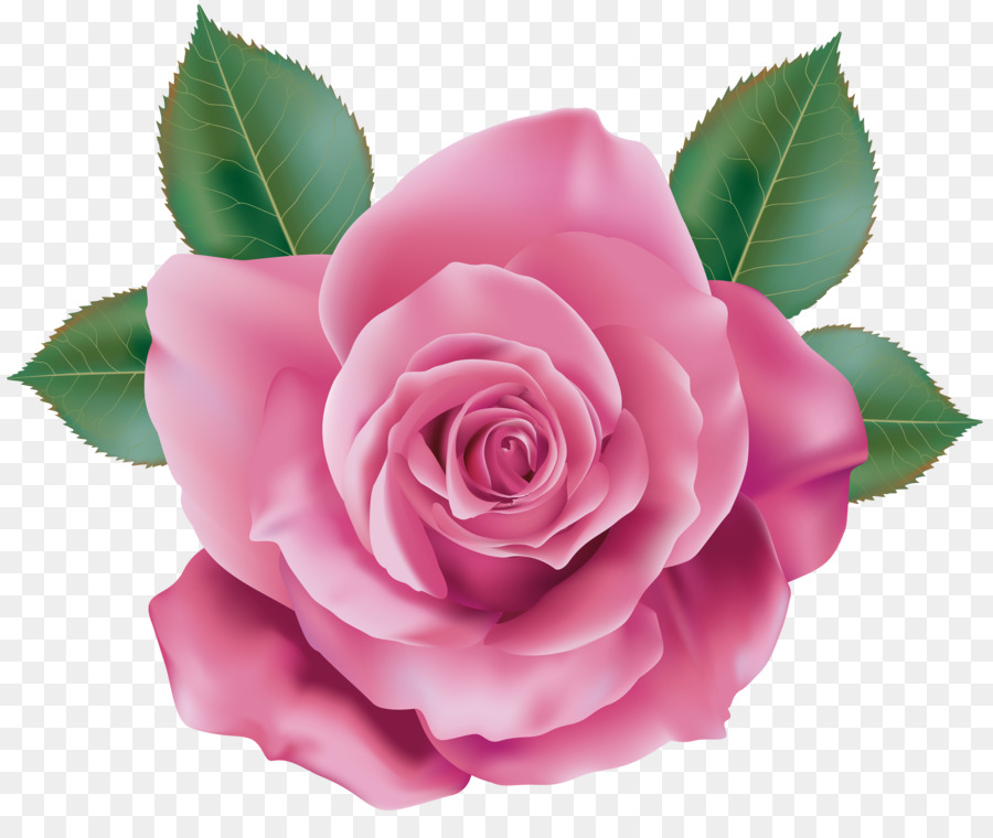 Rose Pink Clip art - pink rose png download - 6000*4937 - Free Transparent Rose png Download.