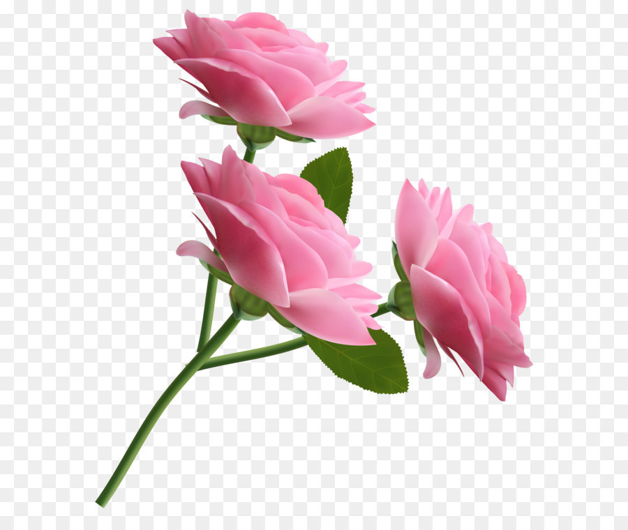 Rose Pink Clip art - Pink Roses Transparent PNG Clipart png download - 4544*5180 - Free Transparent Rose png Download.