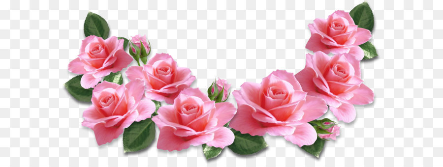 Rose Flower Pink Clip art - Pink Roses Decoration PNG Clipart Image png download - 3367*1737 - Free Transparent Rose png Download.
