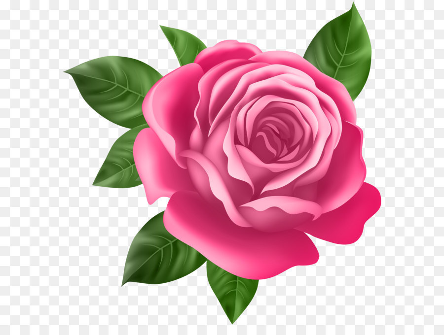 Rose Purple Clip art - Pink Rose Transparent PNG Clip Art png download - 7872*8000 - Free Transparent Rose png Download.