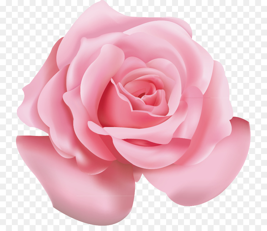 Rose Pink Flower Clip Art Large Light Pink Rose Png Clipart Png