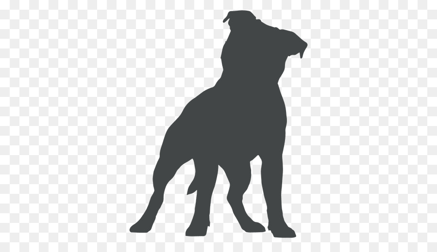 Staffordshire Bull Terrier American Staffordshire Terrier American Pit Bull Terrier - puppy png download - 512*512 - Free Transparent Staffordshire Bull Terrier png Download.