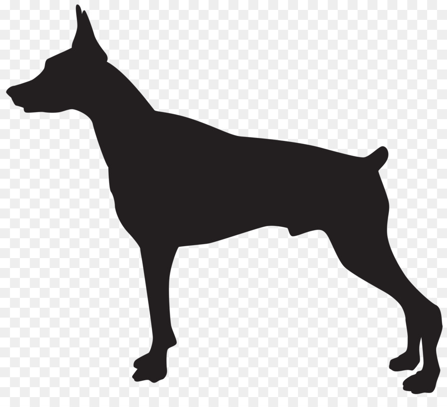 Dobermann Rottweiler German Shepherd Pit bull German Pinscher - Dog Cliparts Transparent png download - 8000*7137 - Free Transparent Dobermann png Download.