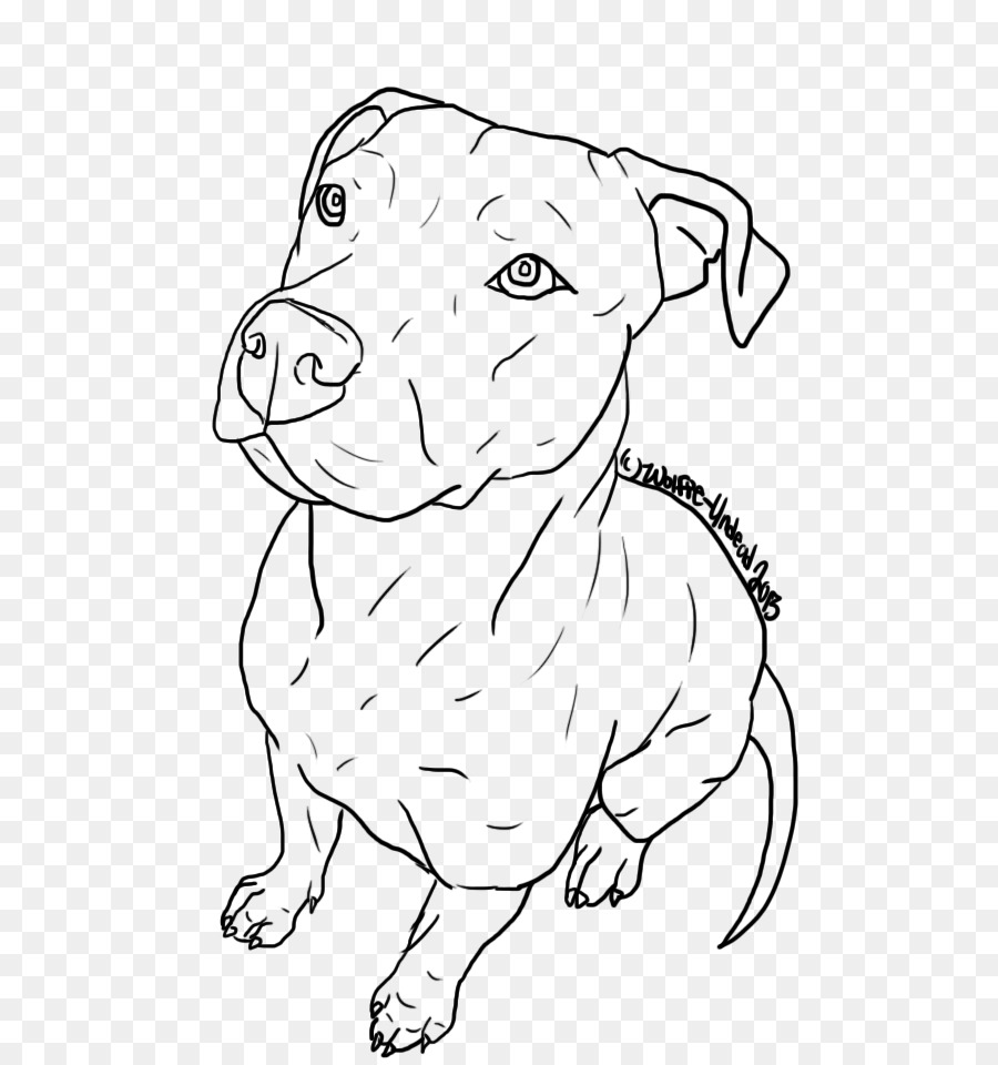 American Pit Bull Terrier Puppy Drawing Line art - pitbull png download - 640*960 - Free Transparent Pit Bull png Download.