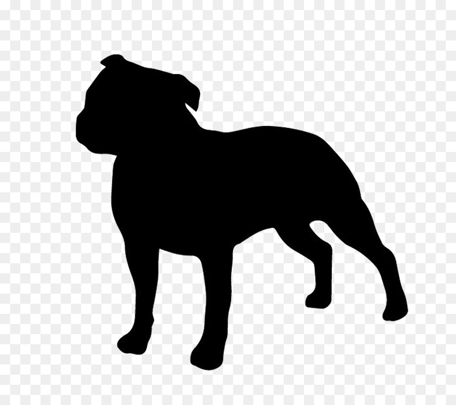 Staffordshire Bull Terrier American Staffordshire Terrier American Pit Bull Terrier - puppy png download - 800*800 - Free Transparent Staffordshire Bull Terrier png Download.