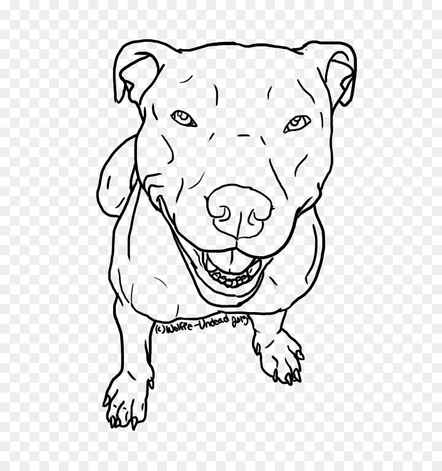 American Pit Bull Terrier Line art Drawing Sketch - pitbull png download - 640*960 - Free Transparent Pit Bull png Download.