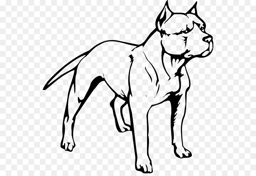 American Pit Bull Terrier Puppy American Bully - puppy png download - 600*611 - Free Transparent Pit Bull png Download.