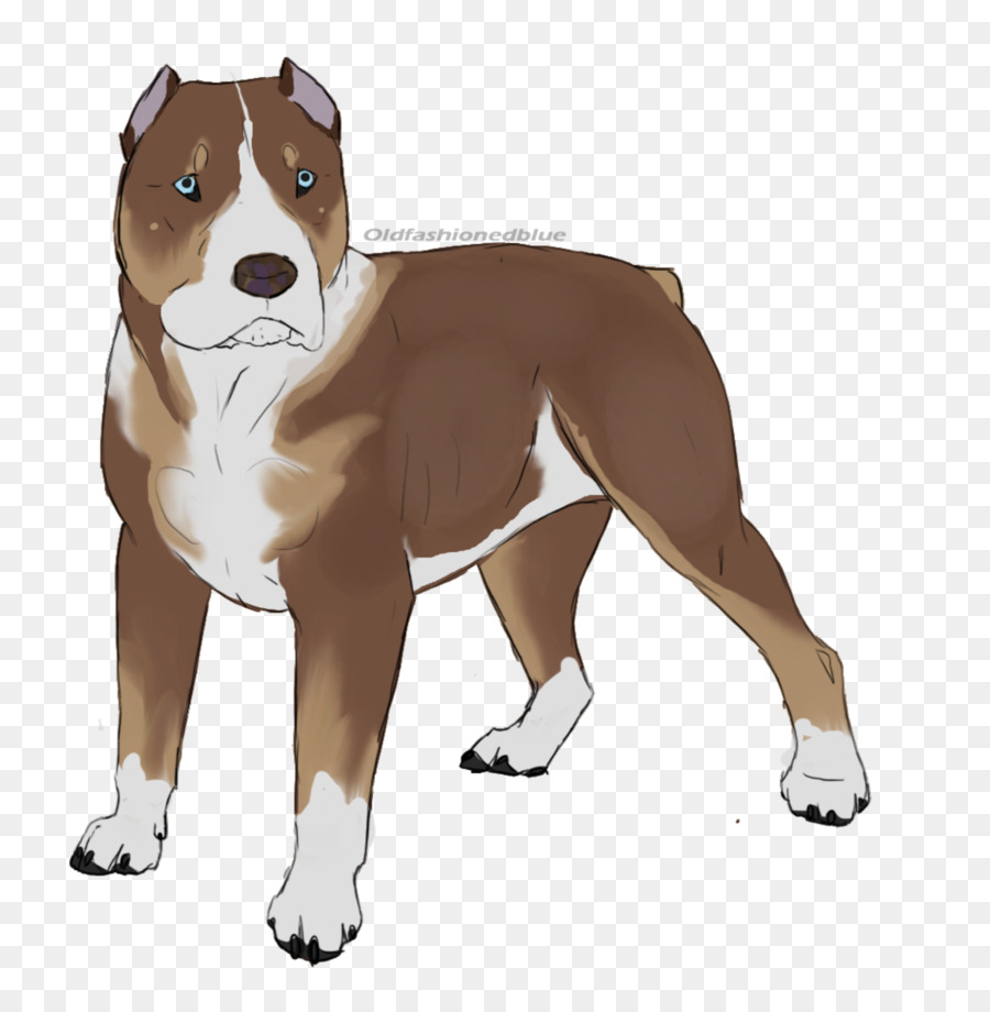 American Staffordshire Terrier American Pit Bull Terrier Staffordshire Bull Terrier Dog breed - pitbull png download - 883*905 - Free Transparent American Staffordshire Terrier png Download.
