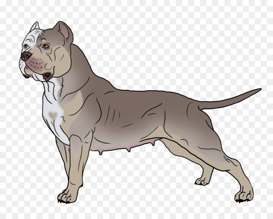 American Pit Bull Terrier Bulldog American Staffordshire Terrier Old English Terrier - pitbull png download - 1024*819 - Free Transparent American Pit Bull Terrier png Download.
